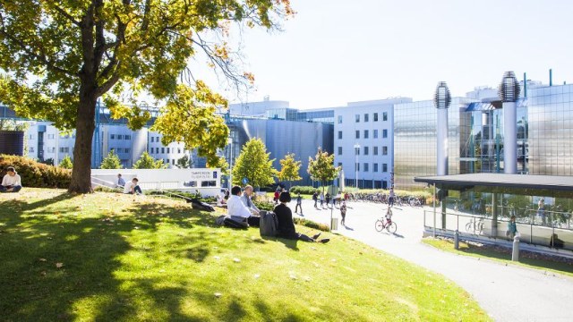 Tampere_University